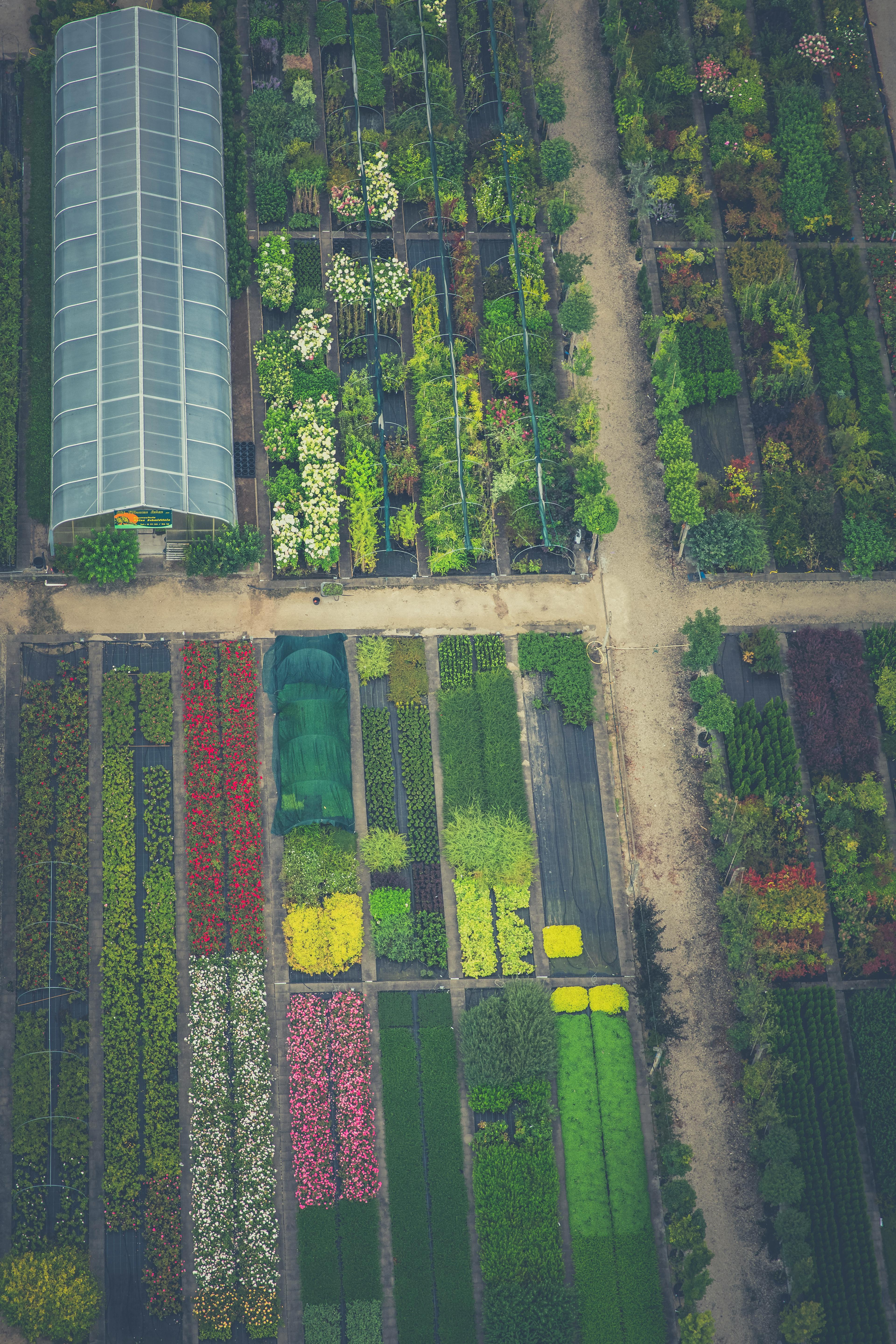 Gartenplanung Lichtverhältnisse