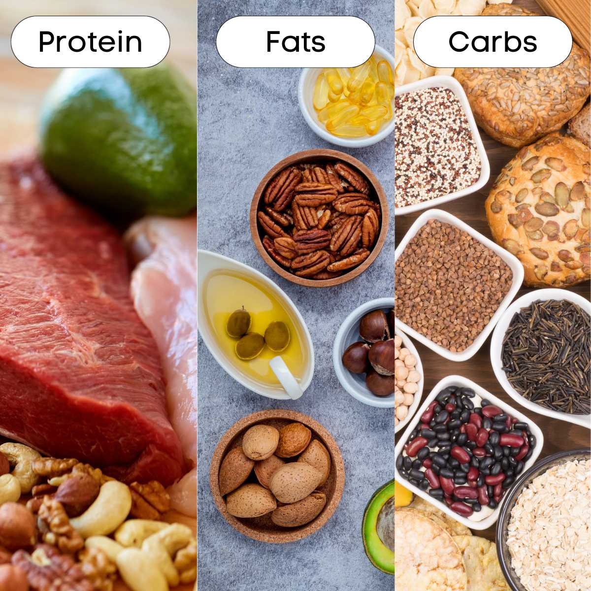 Carbohydrates and Muscle Building